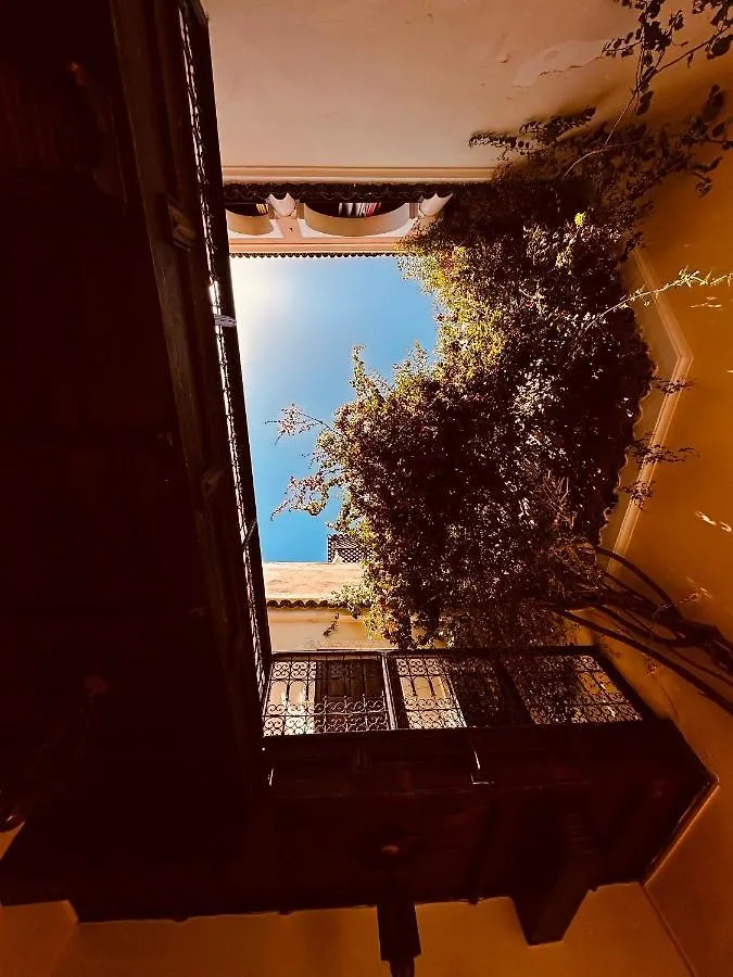 Riad Msholidays Bassin Privatise Marrakech Marrakesh