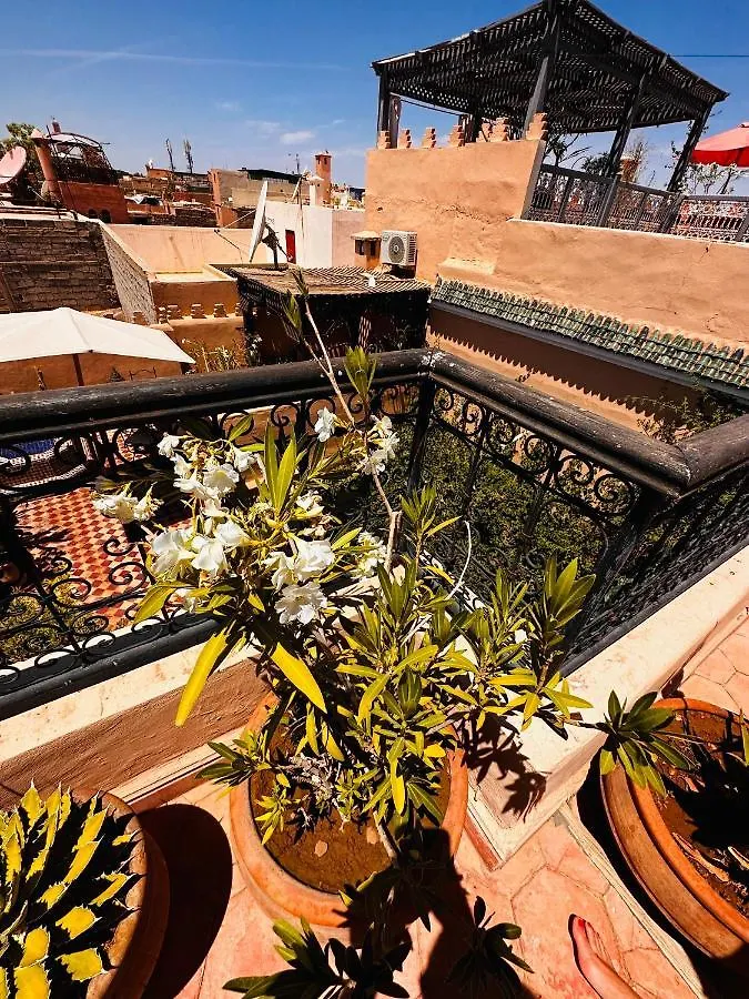 Riad Msholidays Bassin Privatise Marrakech Marrakesh