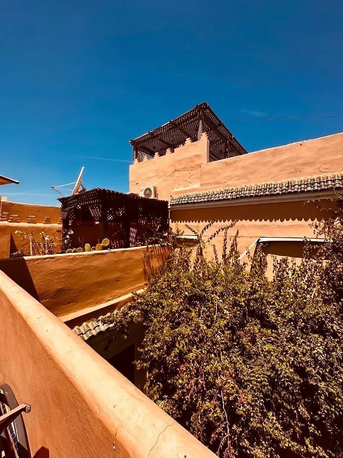 Riad Msholidays Bassin Privatise Marrakech Marrakesh